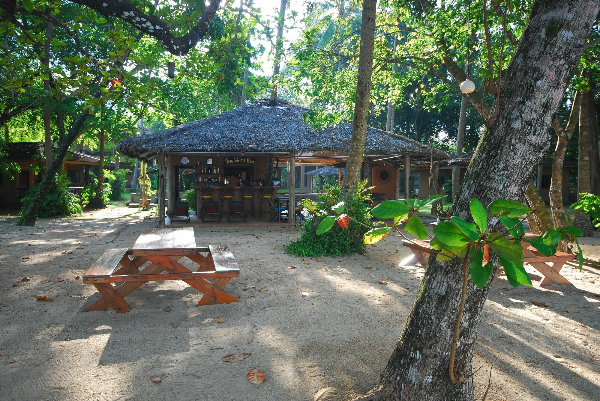 Melina Beach Front Bungalows Tha Lane Bay Dış mekan fotoğraf